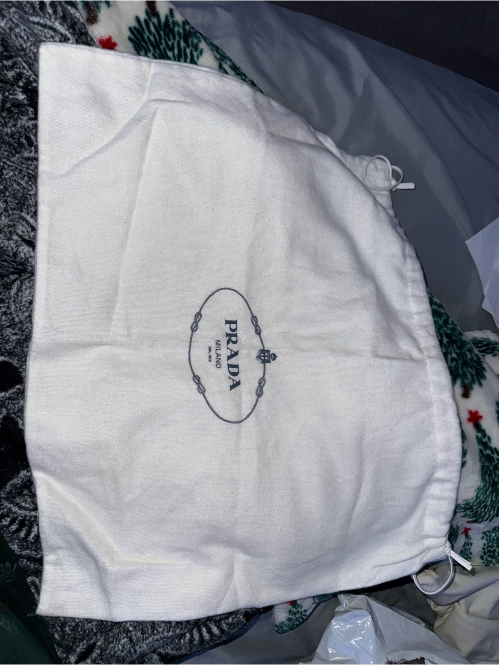 Prada dust bag